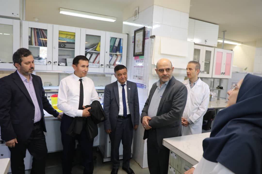 Eronning Avitsenna instituti bilan xalqaro hamkorlik yo‘lida muhim qadam